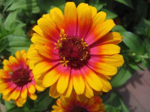 Healing from shame and low self worth is possible with online therapy. Reach out for a free consultation